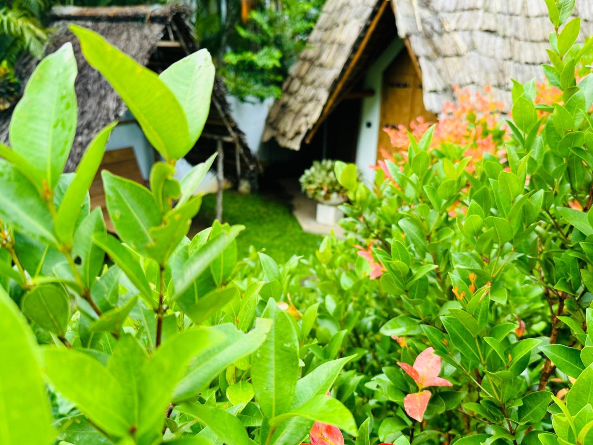 Turtle Wood Cabin Tangalle Exterior photo